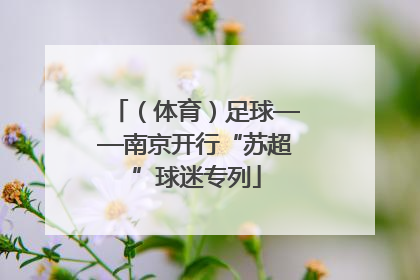 （体育）足球——南京开行“苏超”球迷专列