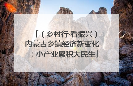 （乡村行·看振兴）内蒙古乡镇经济新变化：小产业累积大民生