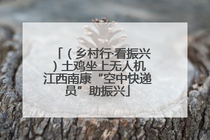 （乡村行·看振兴）土鸡坐上无人机 江西南康“空中快递员”助振兴