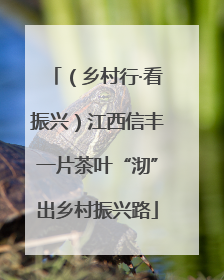 （乡村行·看振兴）江西信丰一片茶叶“沏”出乡村振兴路
