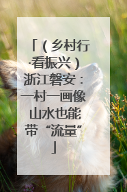 （乡村行·看振兴）浙江磐安：一村一画像 山水也能带“流量”