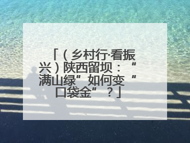 （乡村行·看振兴）陕西留坝：“满山绿”如何变“口袋金”？