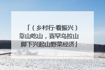 （乡村行·看振兴）靠山吃山，赛罕乌拉山脚下兴起山野菜经济