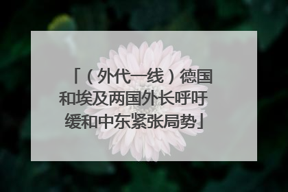 （外代一线）德国和埃及两国外长呼吁缓和中东紧张局势