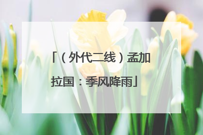 （外代二线）孟加拉国：季风降雨