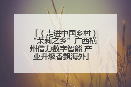 （走进中国乡村）“茉莉之乡”广西横州借力数字智能 产业升级香飘海外