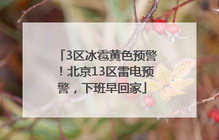 3区冰雹黄色预警！北京13区雷电预警，下班早回家