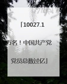 10027.1万名！中国共产党党员总数过亿