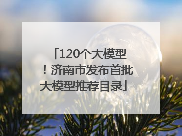 120个大模型！济南市发布首批大模型推荐目录