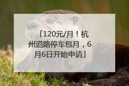 120元/月！杭州道路停车包月，6月6日开始申请