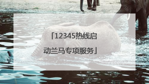 12345热线启动兰马专项服务