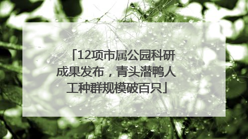 12项市属公园科研成果发布，青头潜鸭人工种群规模破百只