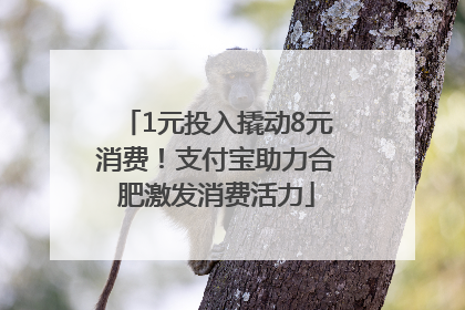 1元投入撬动8元消费！支付宝助力合肥激发消费活力