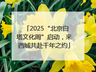 2025“北京白塔文化周”启动，来西城共赴千年之约