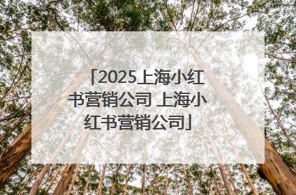 2025上海小红书营销公司 上海小红书营销公司