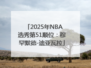 2025年NBA选秀第51顺位：穆罕默德-迪亚瓦拉