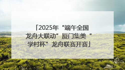 2025年“端午全国龙舟大联动”厦门集美“学村杯”龙舟联赛开赛