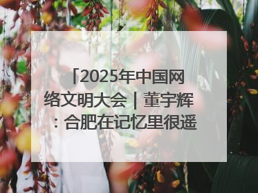 2025年中国网络文明大会｜董宇辉：合肥在记忆里很遥远也很亲切