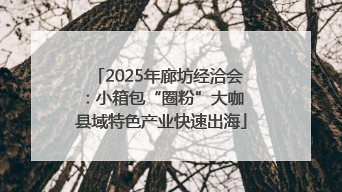 2025年廊坊经洽会：小箱包“圈粉”大咖 县域特色产业快速出海