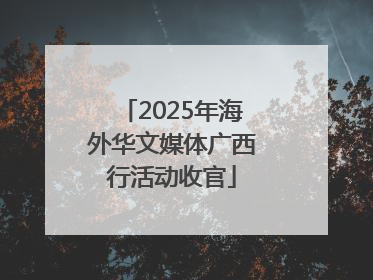 2025年海外华文媒体广西行活动收官