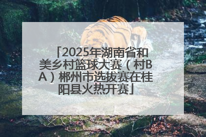 2025年湖南省和美乡村篮球大赛（村BA）郴州市选拔赛在桂阳县火热开赛