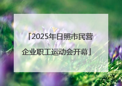2025年日照市民营企业职工运动会开幕