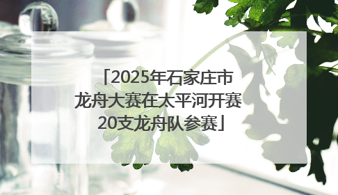 2025年石家庄市龙舟大赛在太平河开赛 20支龙舟队参赛