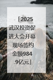 2025武汉投资促进大会开幕 现场签约金额984.9亿元