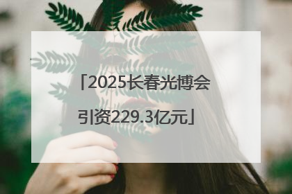 2025长春光博会引资229.3亿元