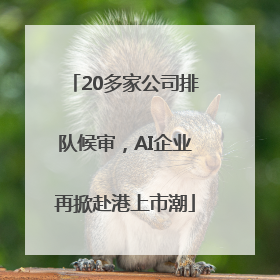 20多家公司排队候审，AI企业再掀赴港上市潮