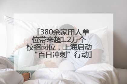 380余家用人单位带来超1.2万个校招岗位，上海启动“百日冲刺”行动