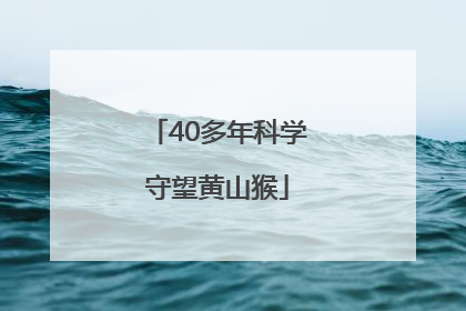 40多年科学守望黄山猴
