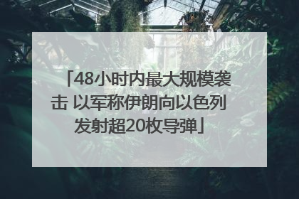 48小时内最大规模袭击 以军称伊朗向以色列发射超20枚导弹
