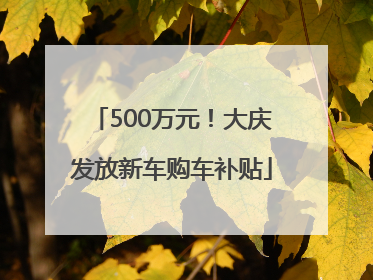 500万元！大庆发放新车购车补贴