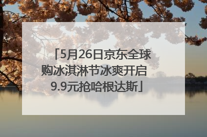 5月26日京东全球购冰淇淋节冰爽开启 9.9元抢哈根达斯