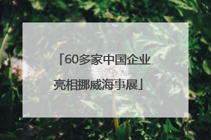 60多家中国企业亮相挪威海事展