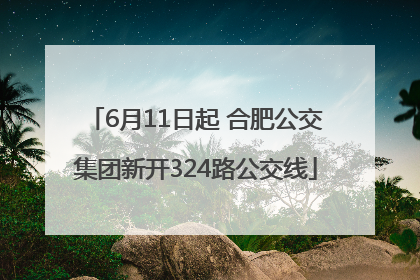 6月11日起 合肥公交集团新开324路公交线
