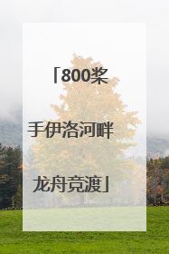 800桨手伊洛河畔龙舟竞渡