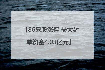 86只股涨停 最大封单资金4.03亿元
