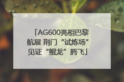 AG600亮相巴黎航展 荆门“试炼场”见证“鲲龙”腾飞