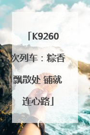 K9260次列车：粽香飘散处 铺就连心路