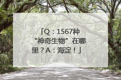 Q：1567种“神奇生物”在哪里？A：海淀！
